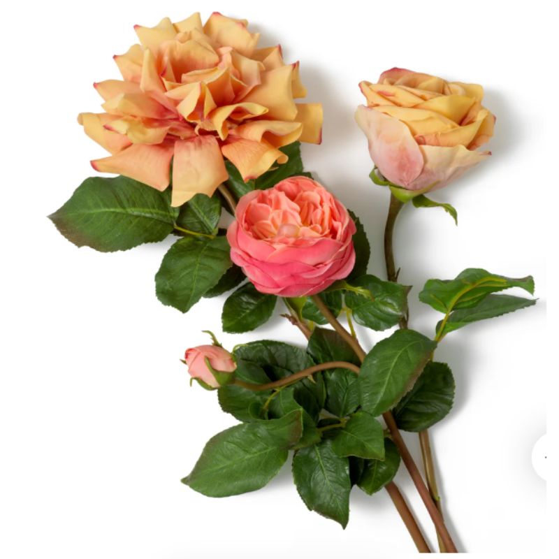 Bouquet Rose