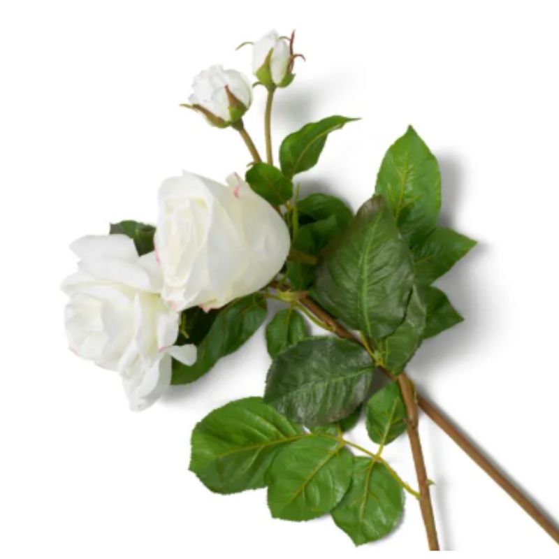 Bouquet Rosevelt
