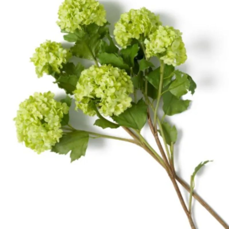 Bouquet Snowball Tenshii