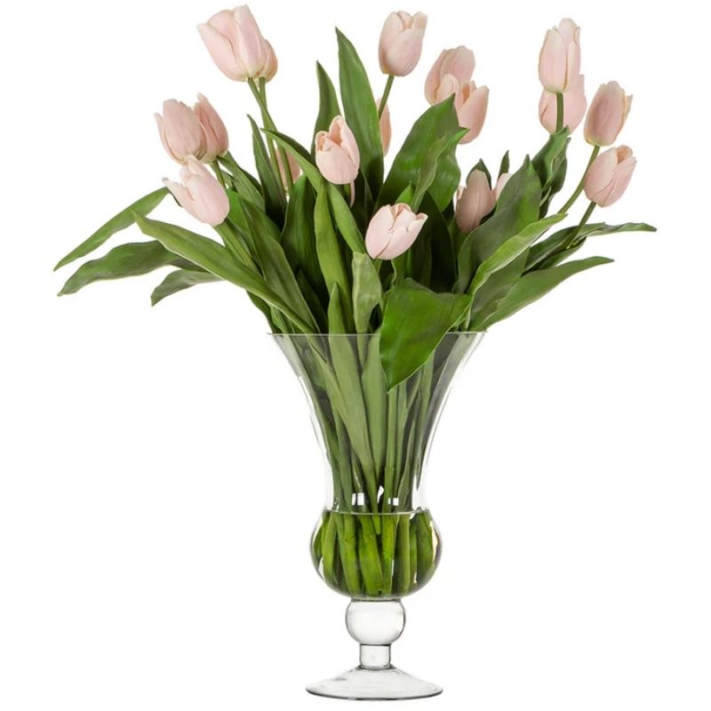 Pink Tulipan