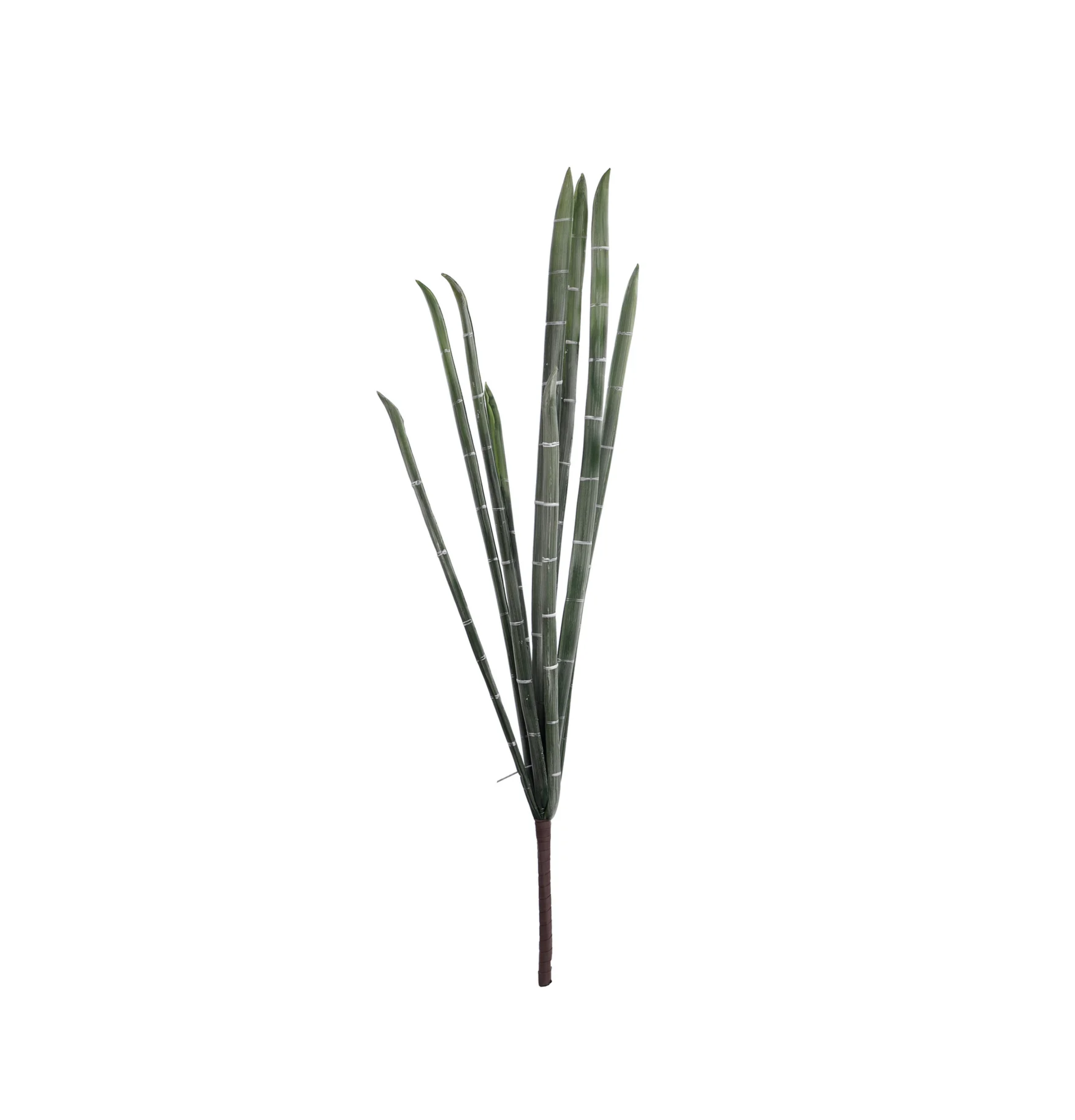 Rama Bamboo