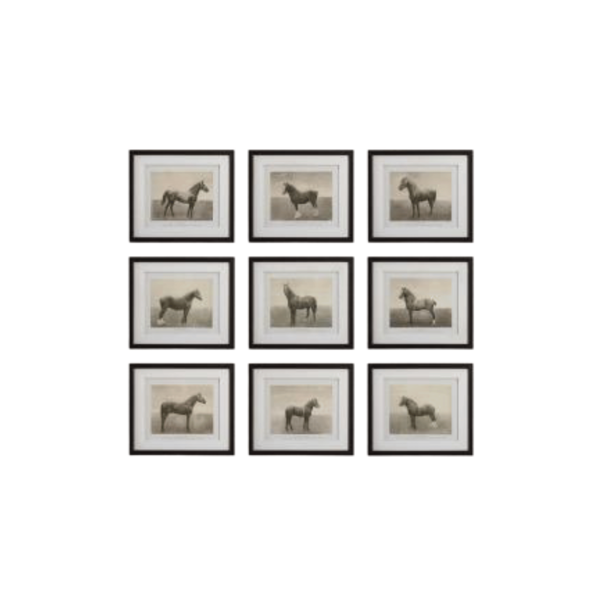 Set de Cuadros Cavalo