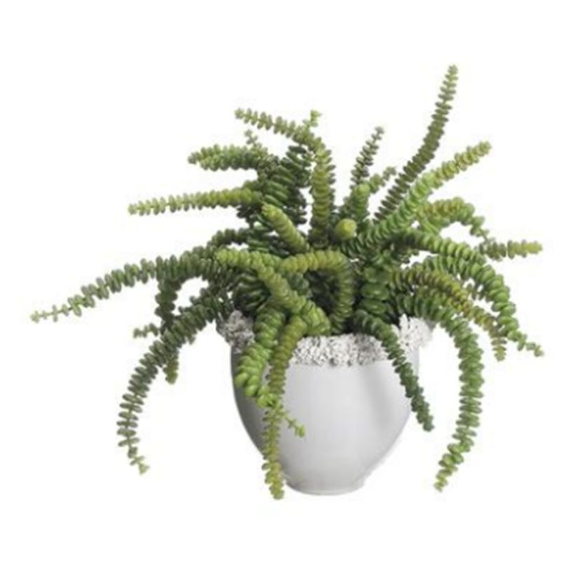 Suculenta Vase White
