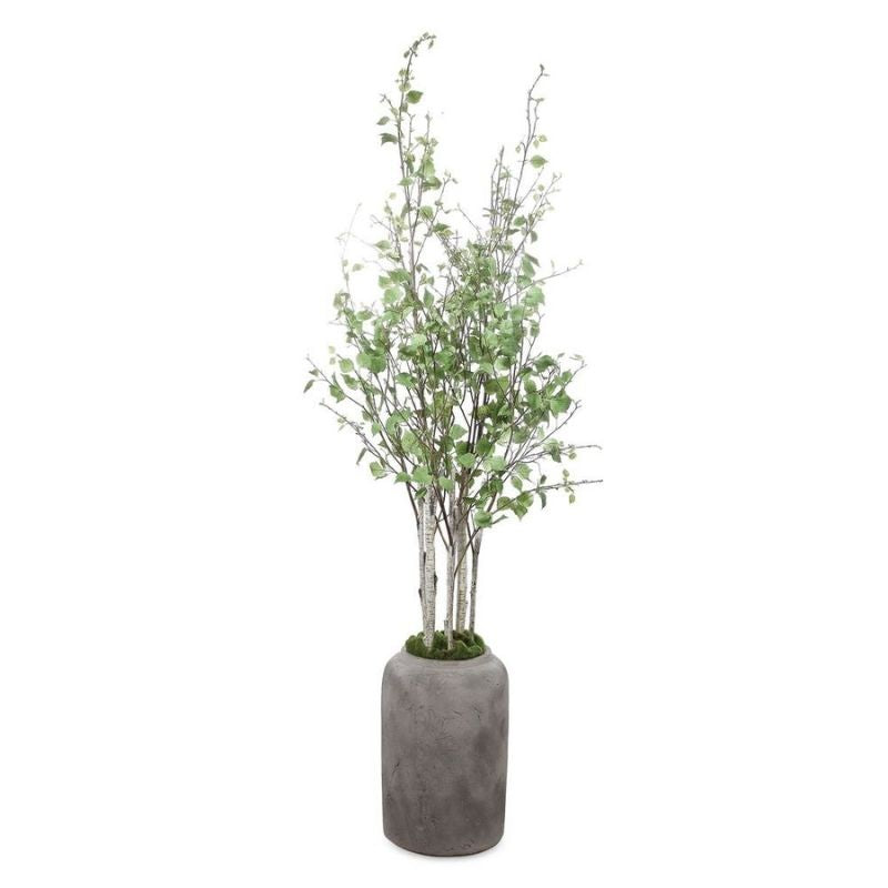 Aliso Pot