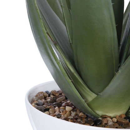Aloe White