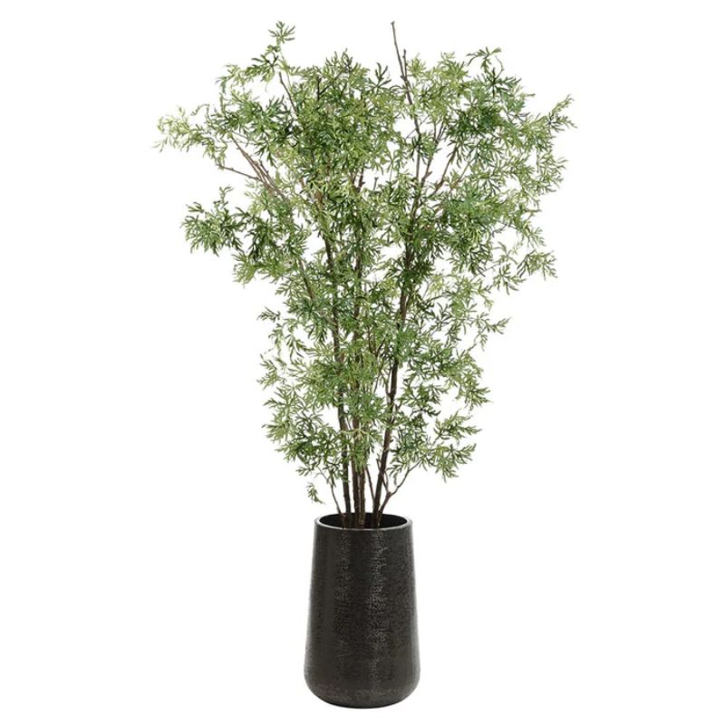 Árbol Alia
