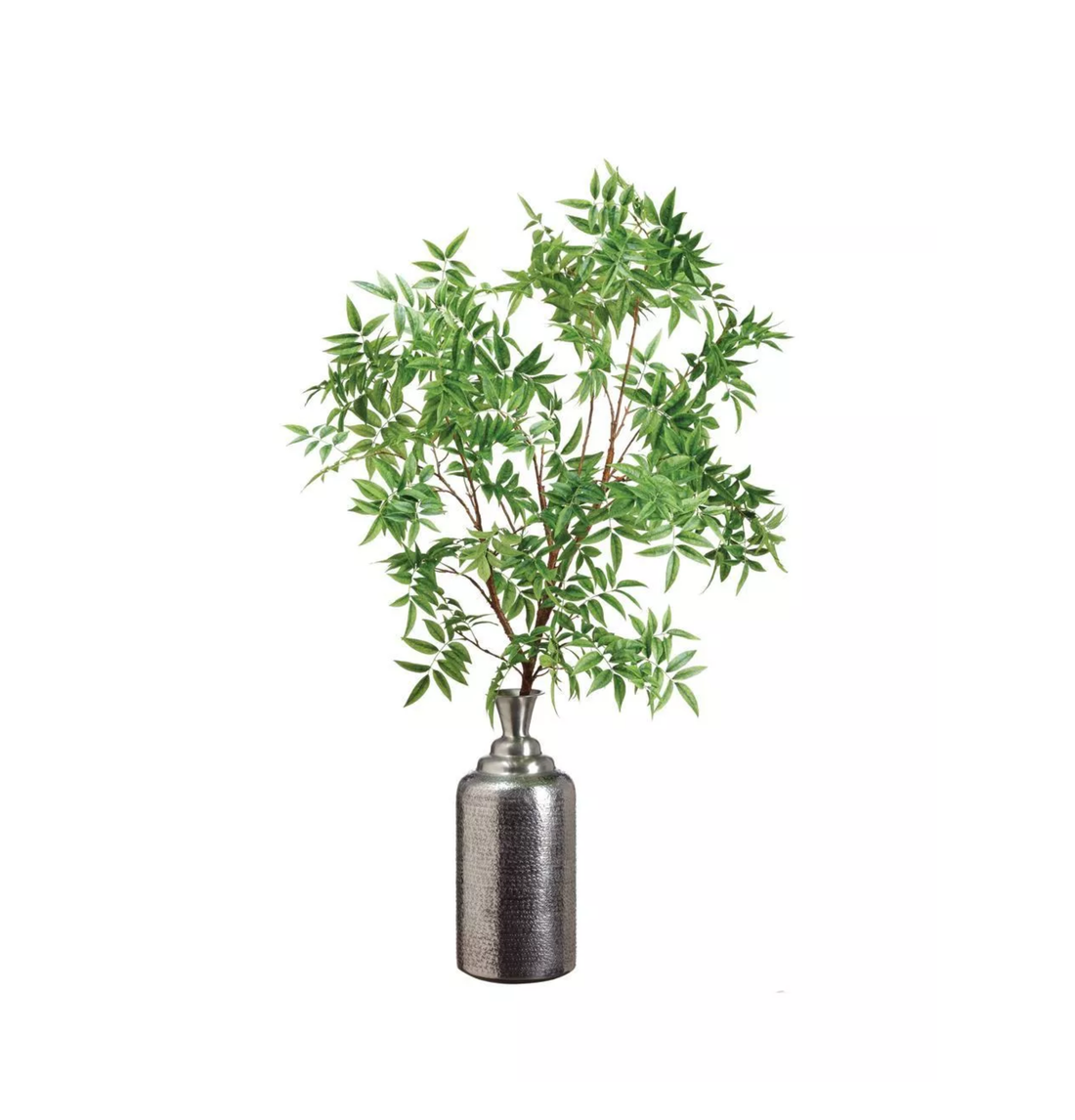 Árbol de la Pimienta