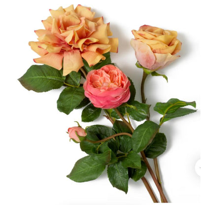 Bouquet Rose