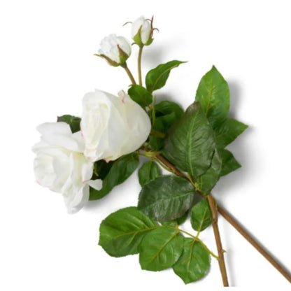 Bouquet Rosevelt