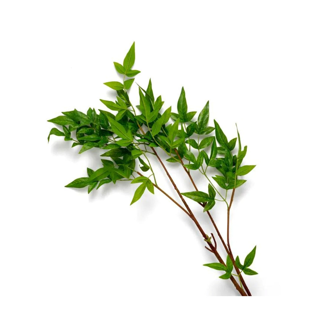 Bundle of leaves 36pcs
