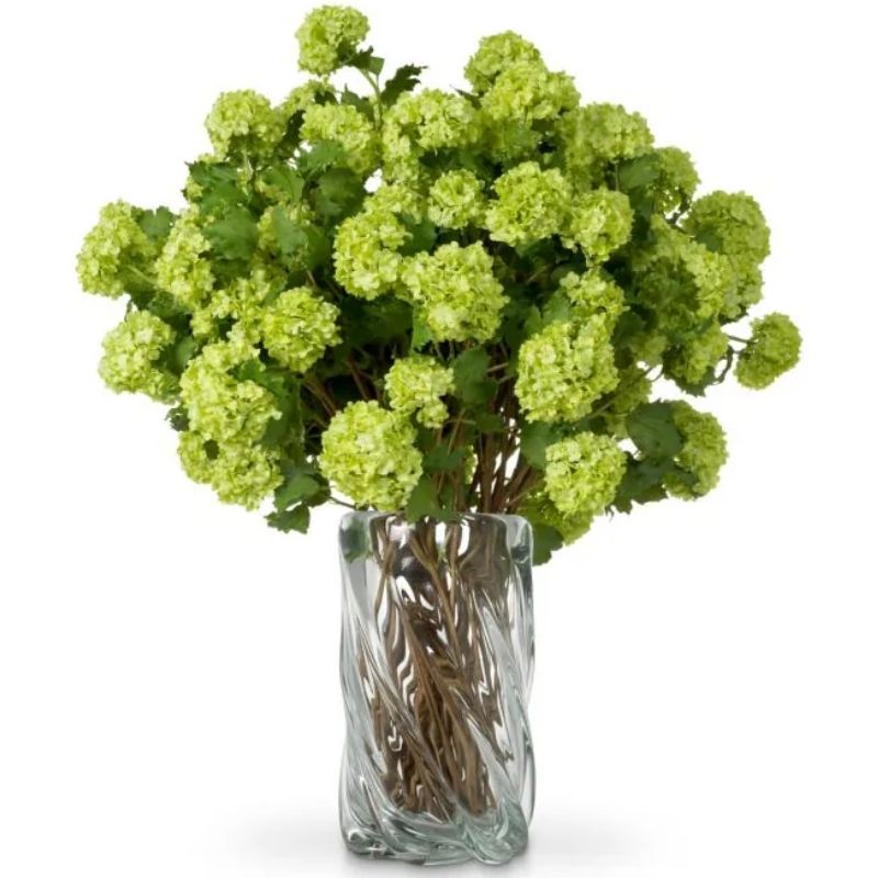 Bouquet Snowball Tenshii