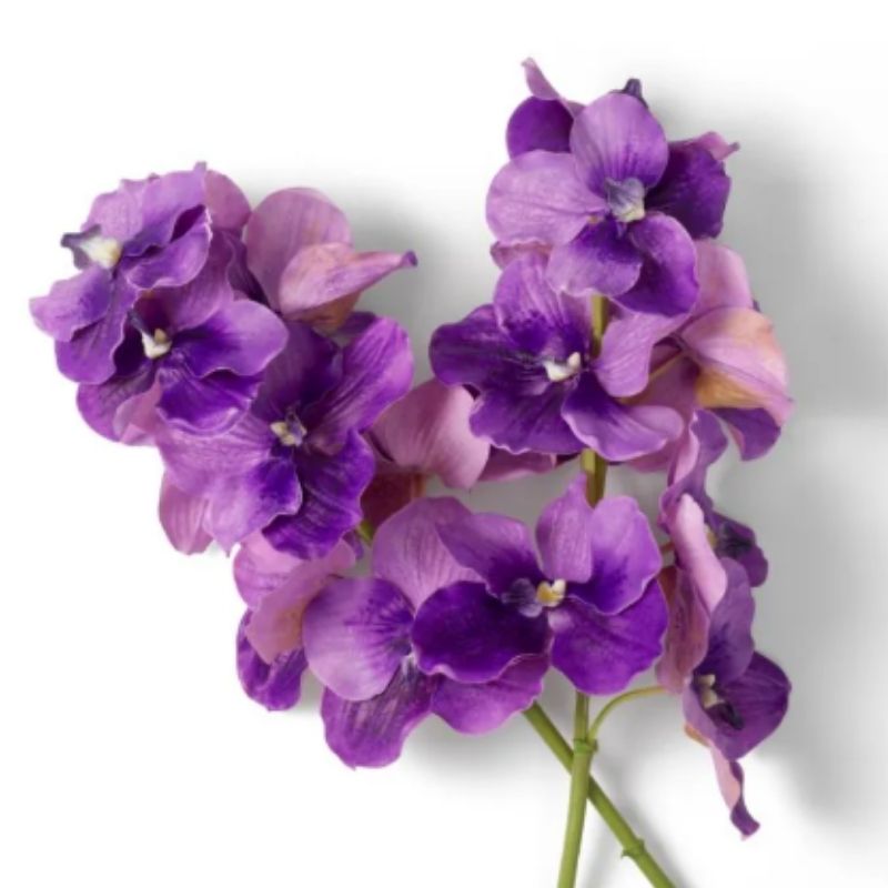 Bouquet Violett Vanda