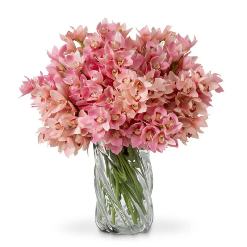 Bouquet Orchid
