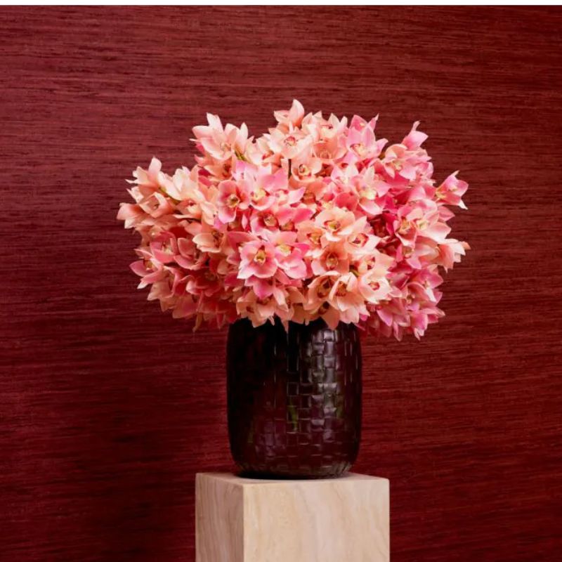 Bouquet Orchid