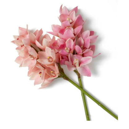 Bouquet Orchid