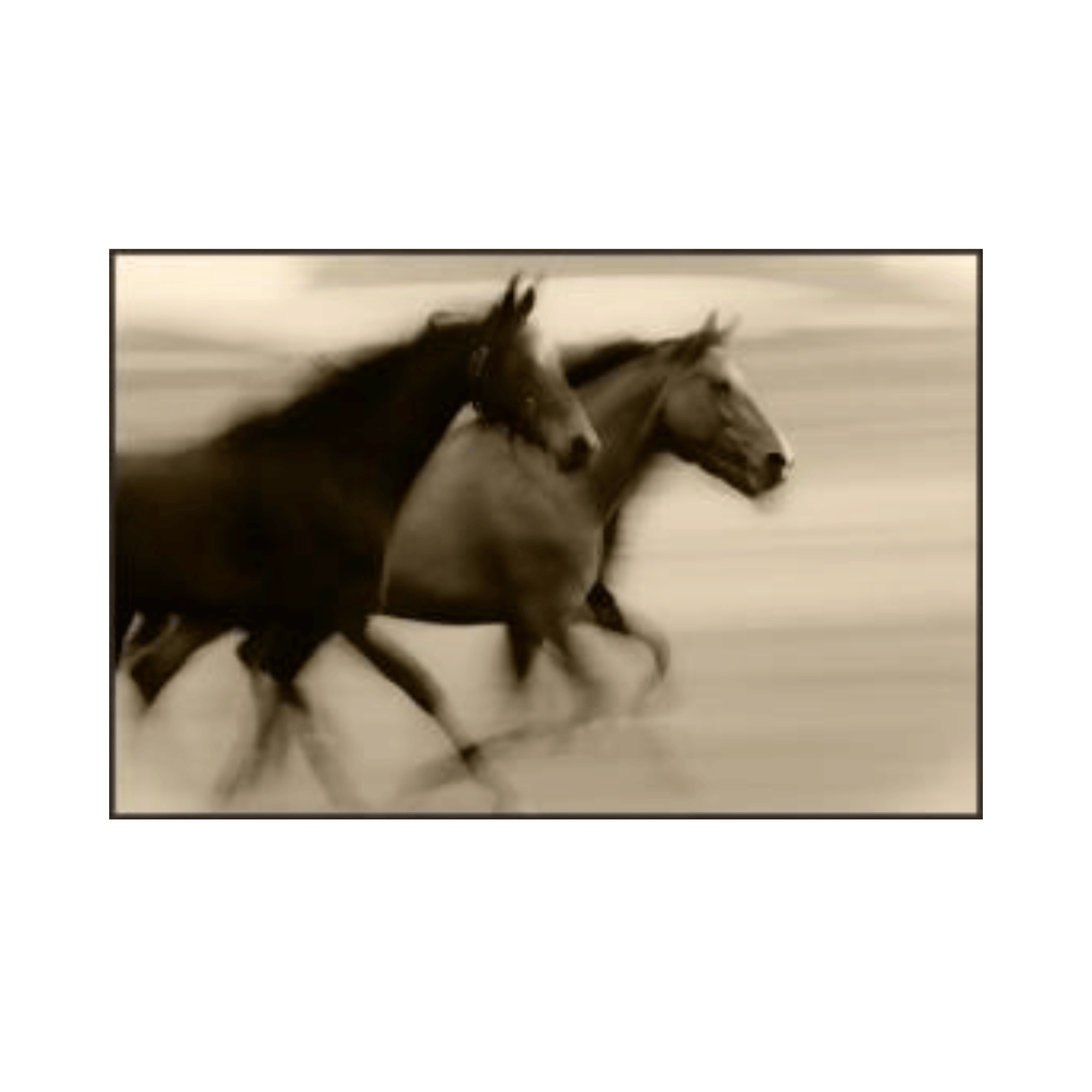 Carrera por el Desierto