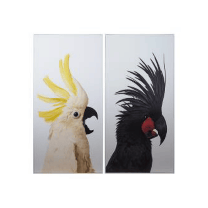 Cuadros Birds