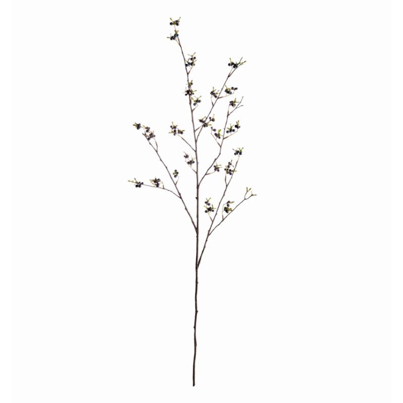 Dark Berry Plant