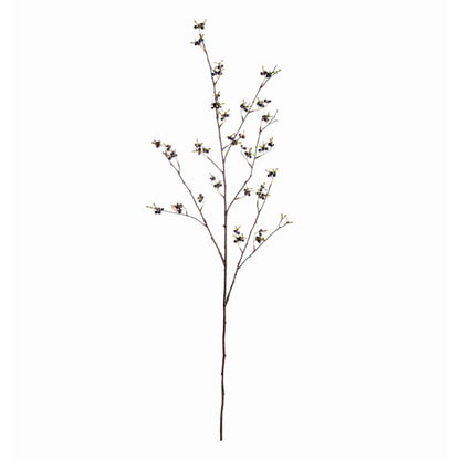 Dark Berry Plant