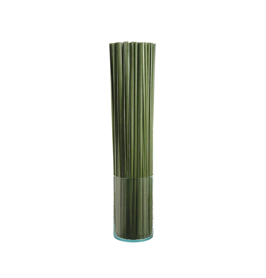 Grass Levien Tall