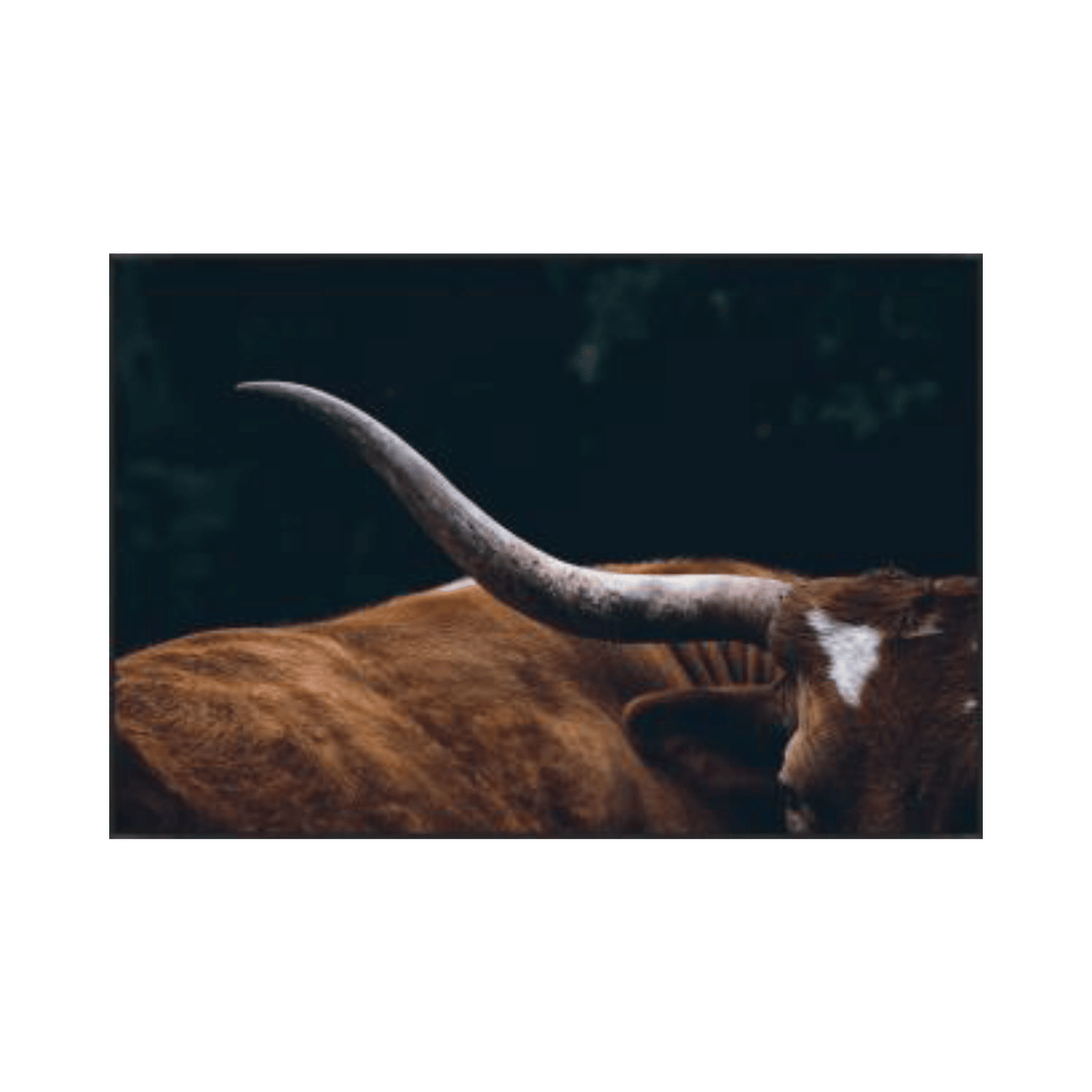 Horns Up
