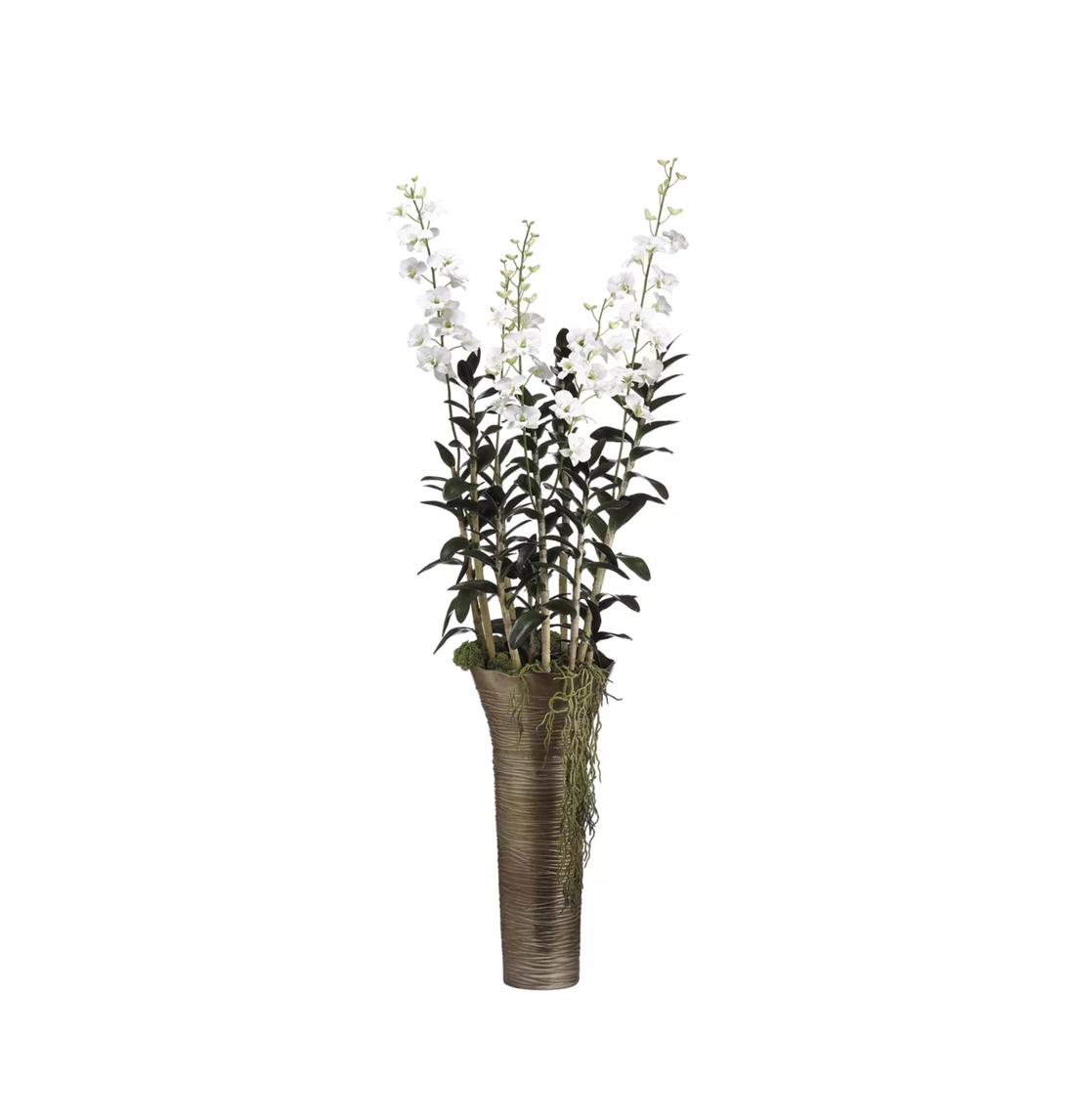Ivory Dendrobium Tall