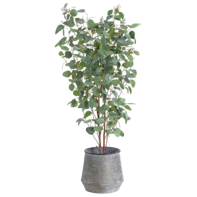Metal Eucalyptus