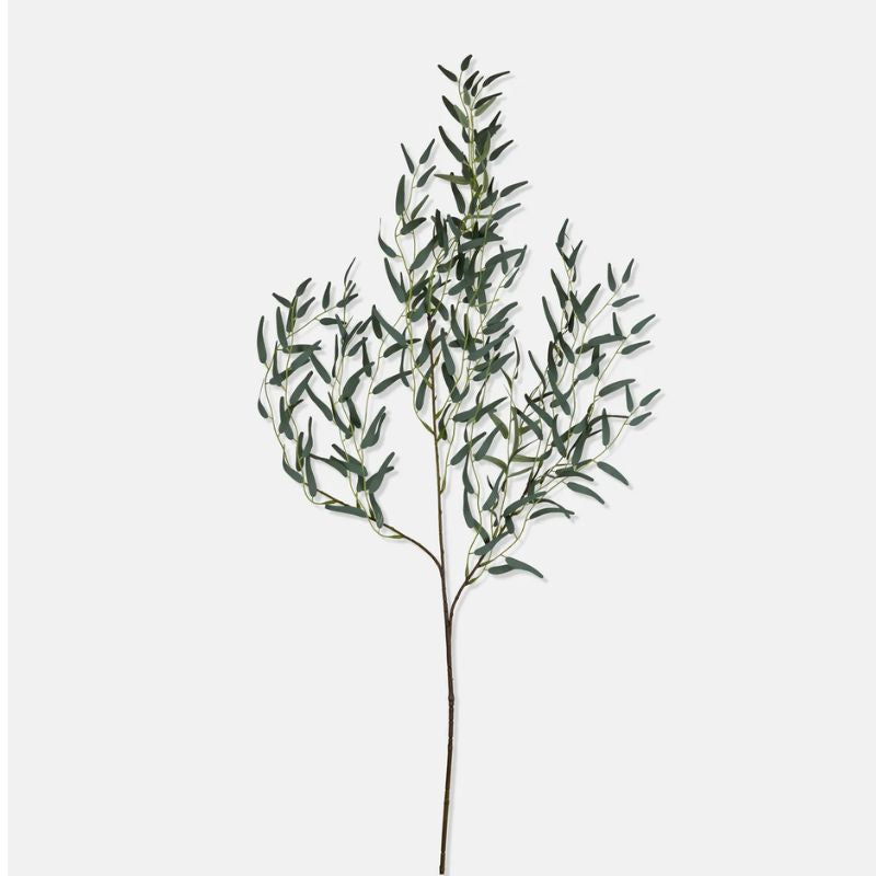 Planta Willos