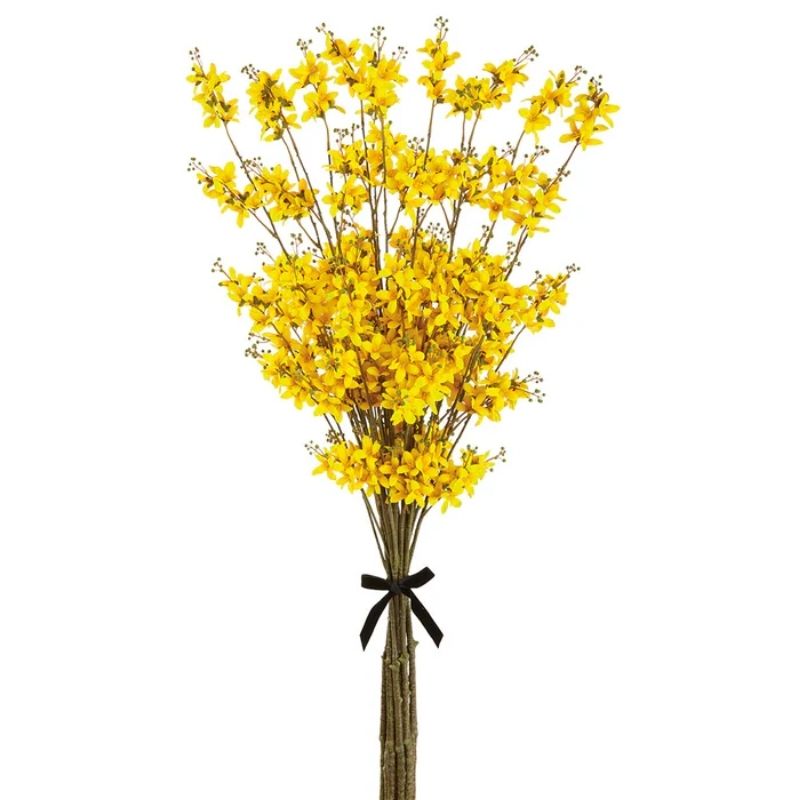 Ramas Forsythia