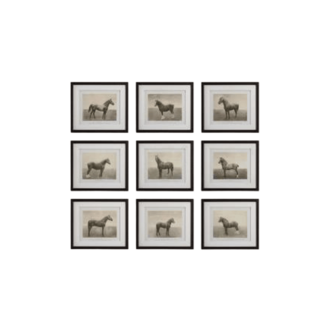 Set de Cuadros Cavalo