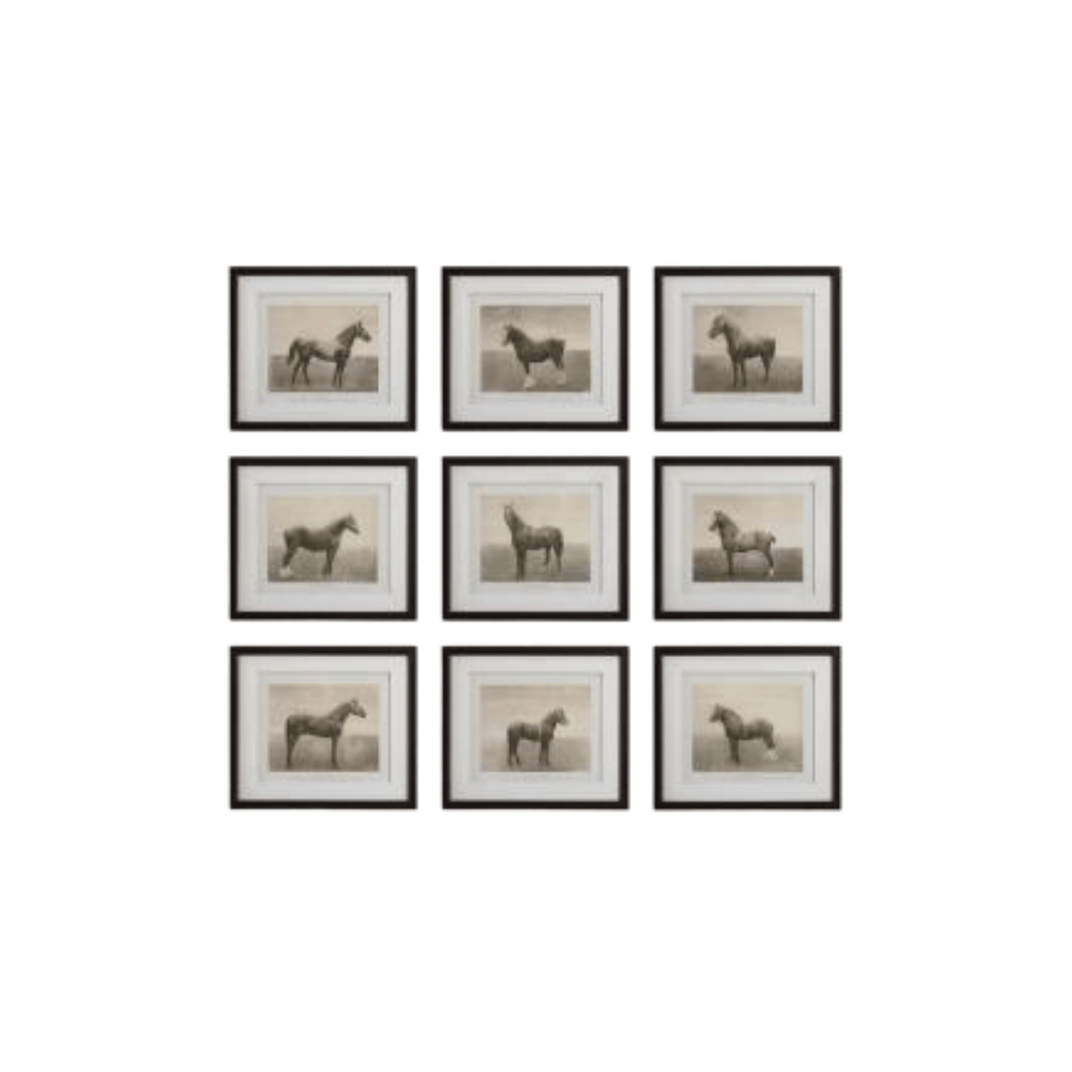 Set de Cuadros Cavalo