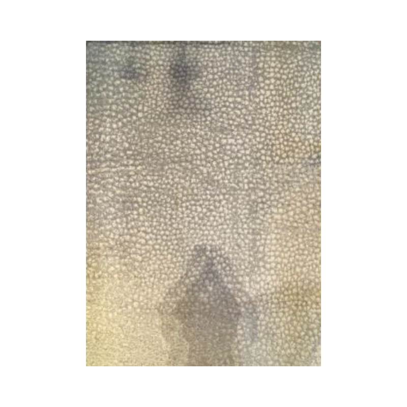 Tapete Textura Lamb Age Fine