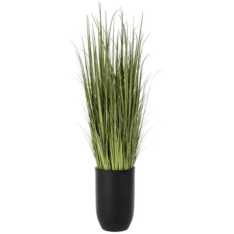 Wild Grass
