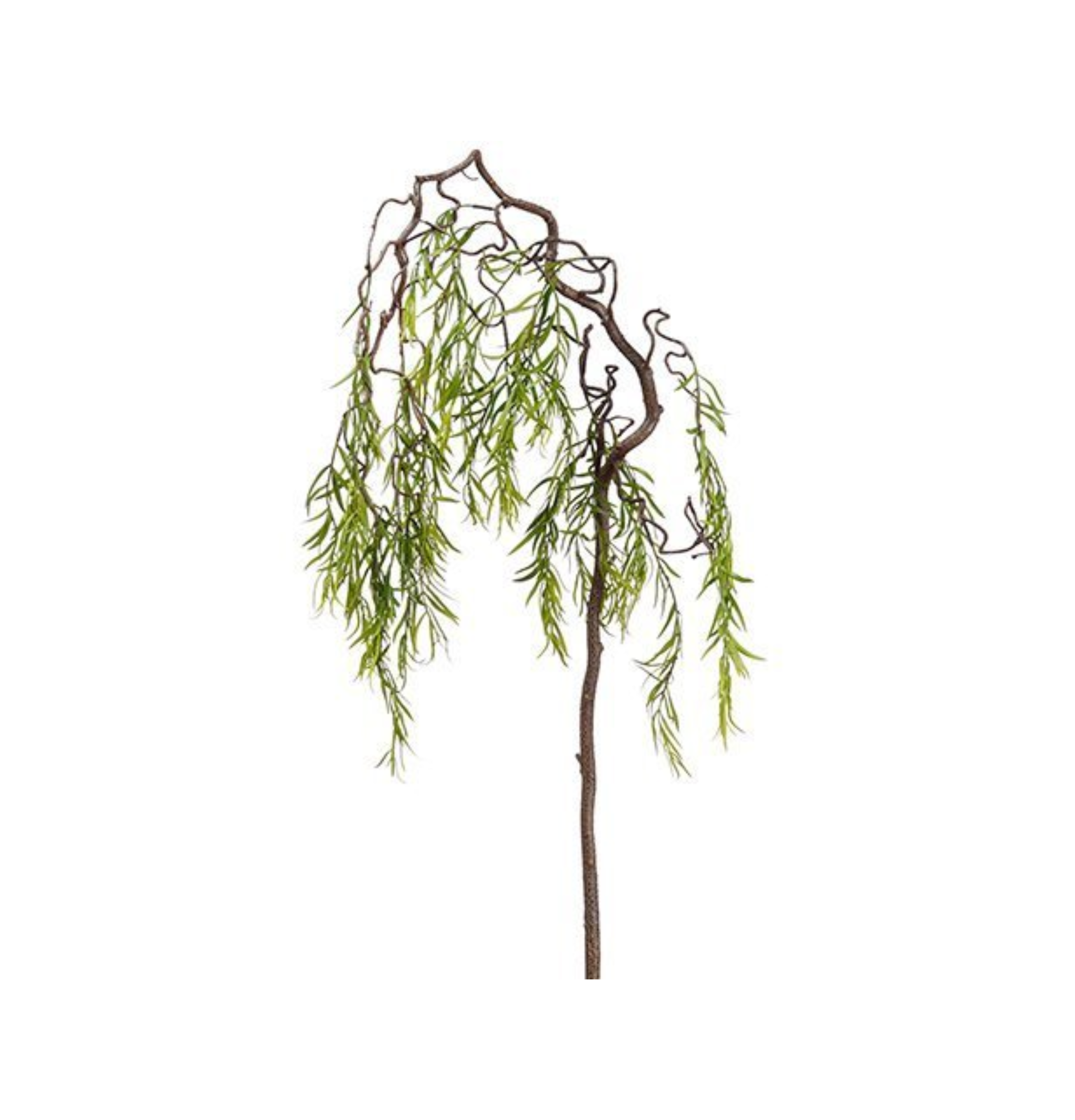 Willow Stick