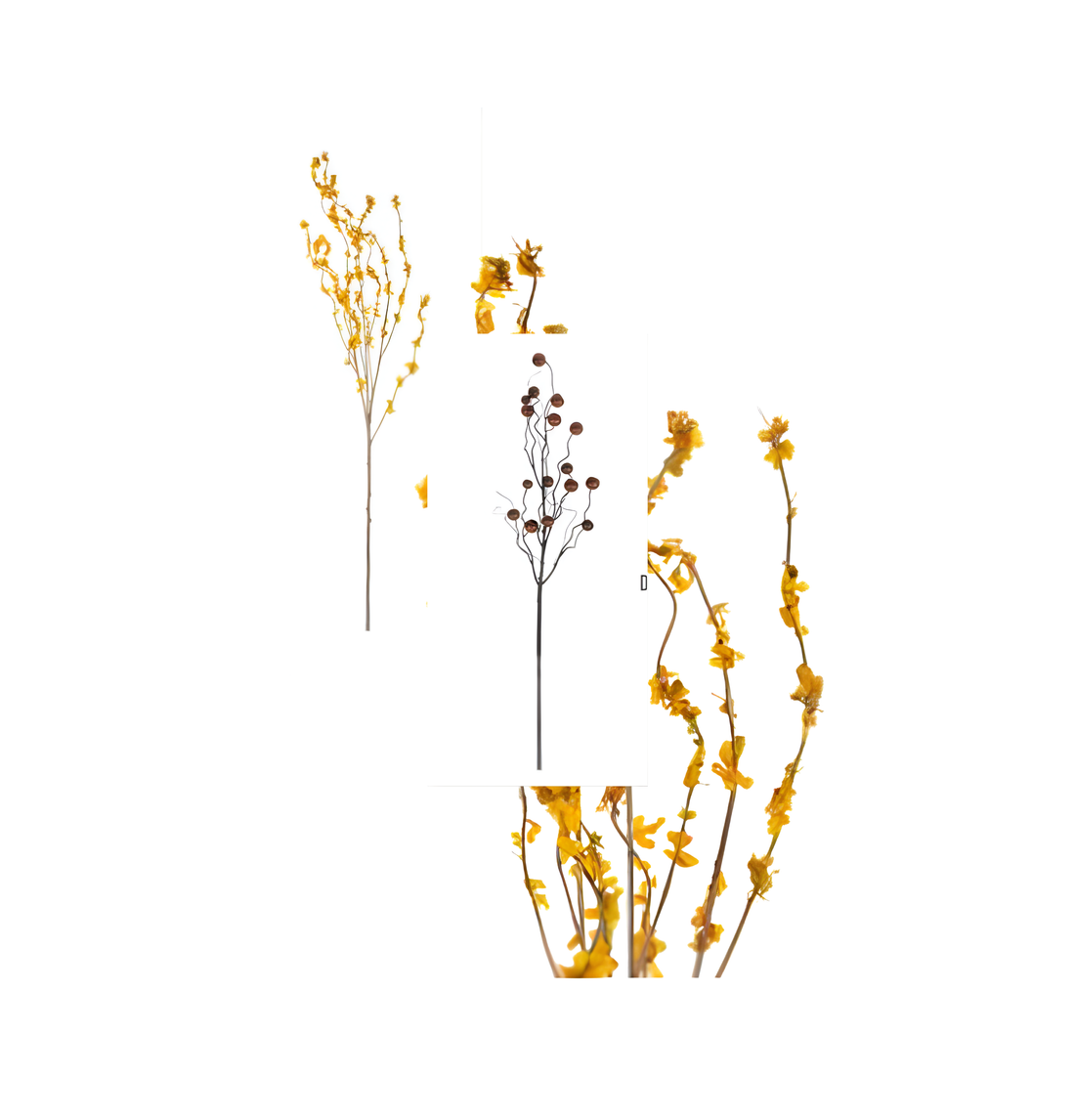 Yellow Bloom Branches