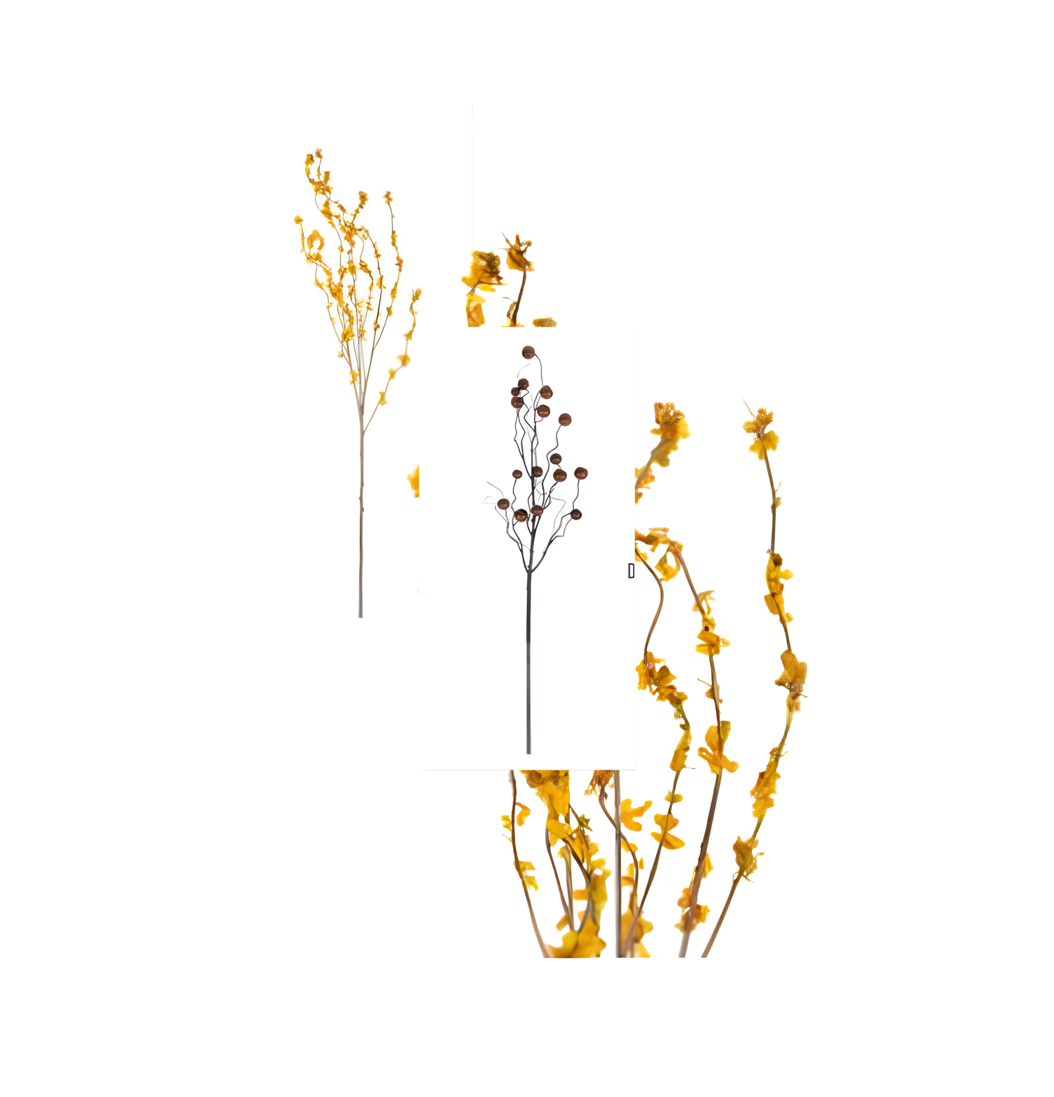 Yellow Bloom Branches