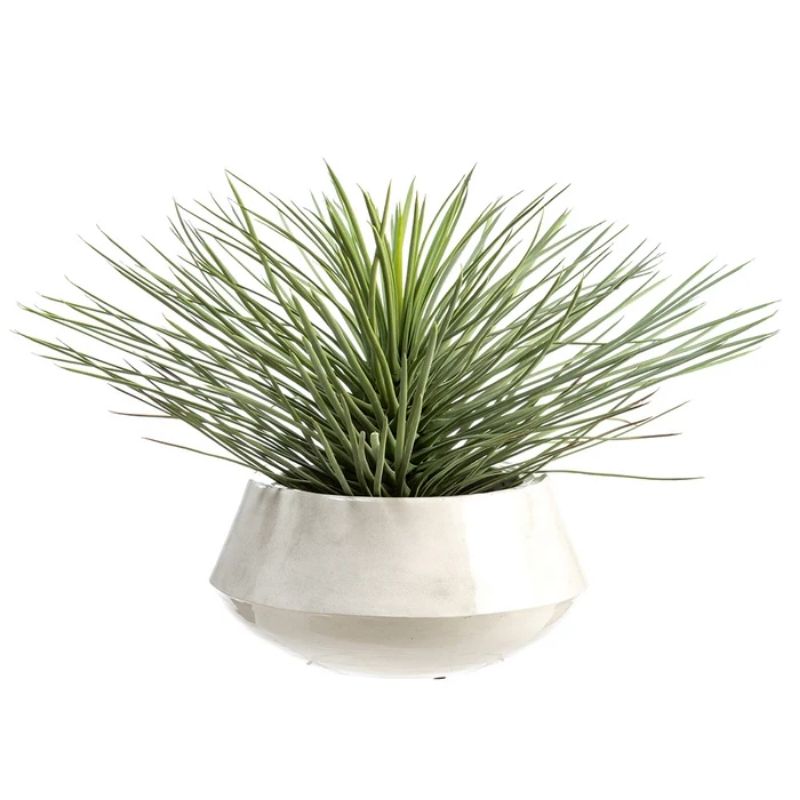 Yucca White Pot