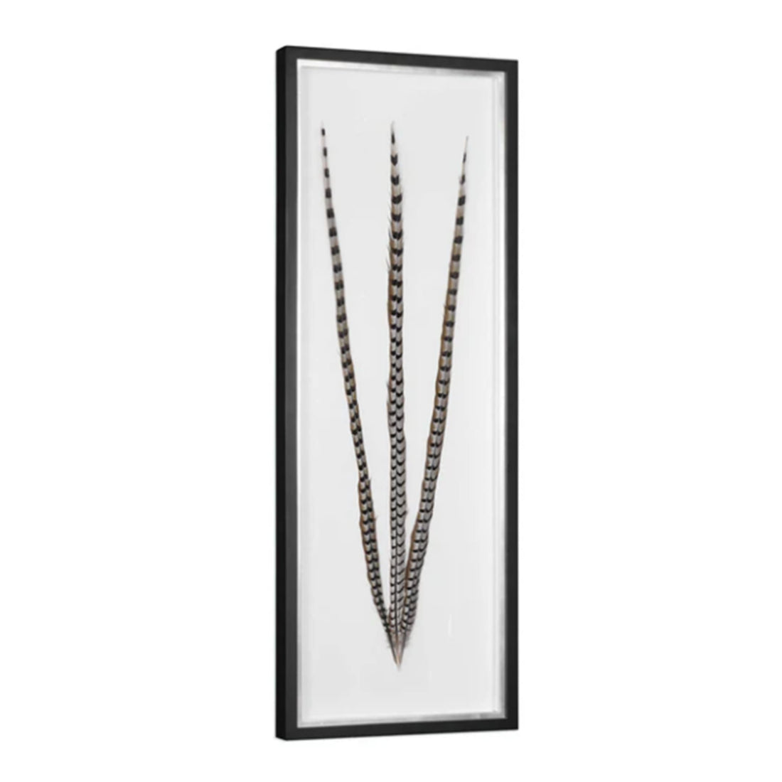 Cuadro Feather
