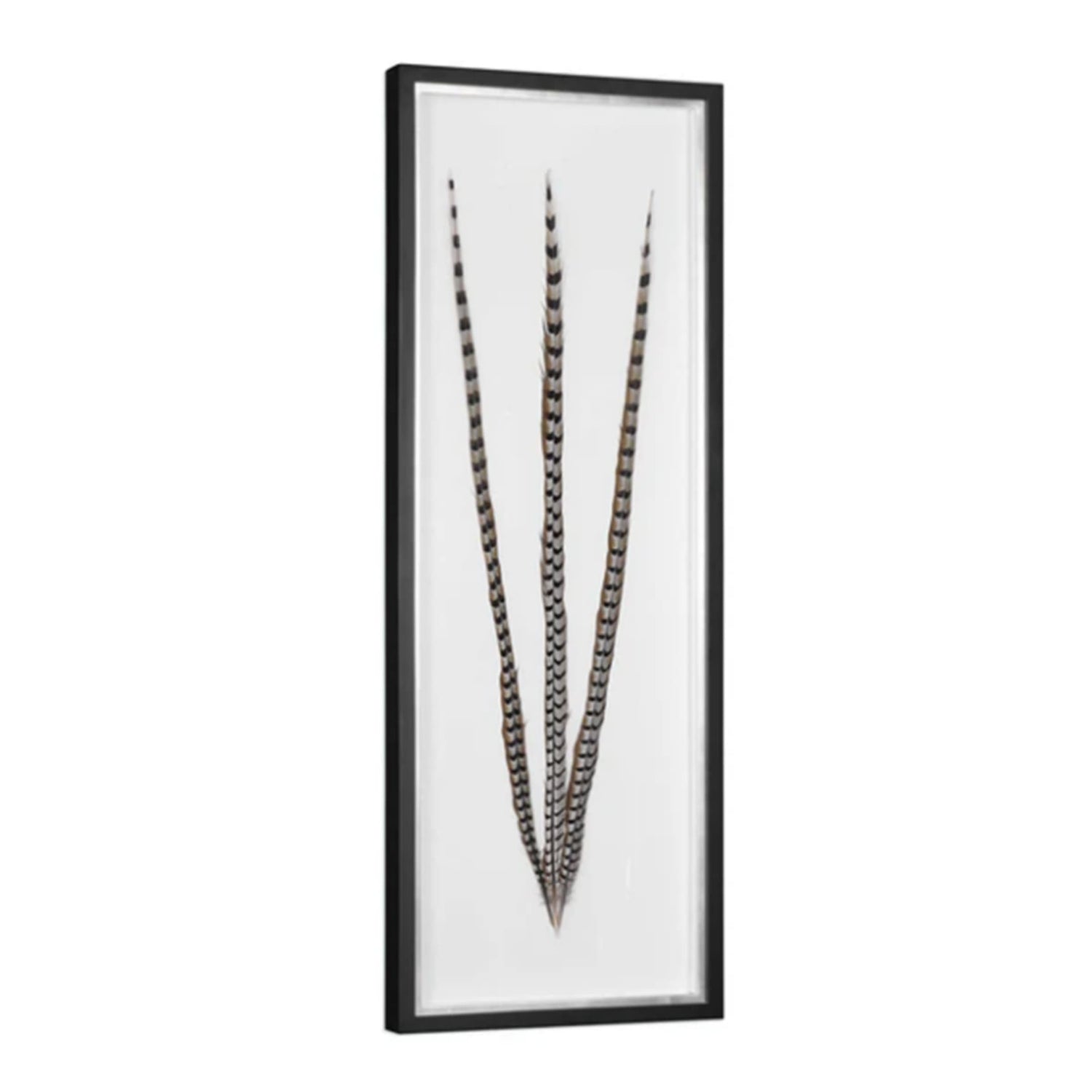 Cuadro Feather