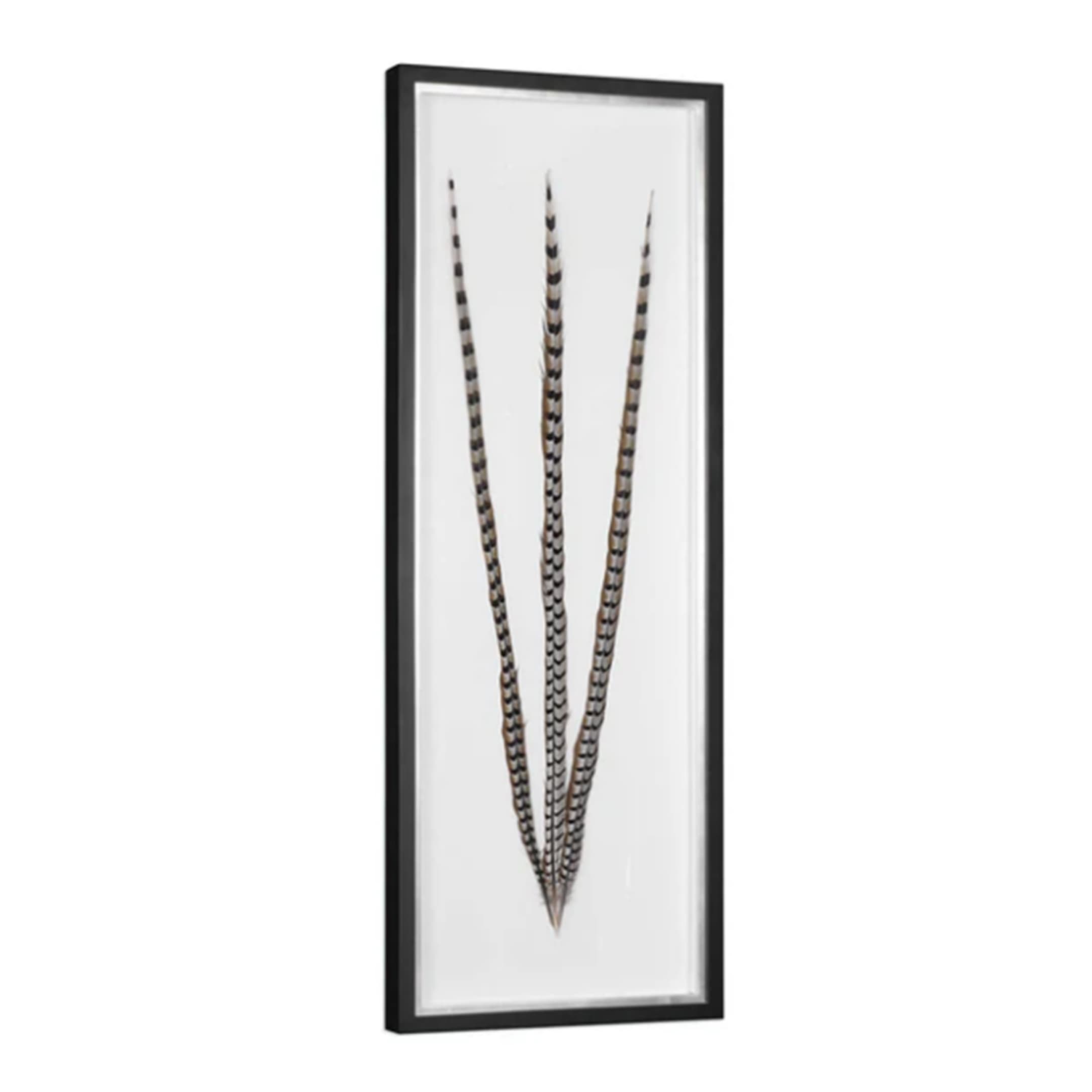 Cuadro Feather