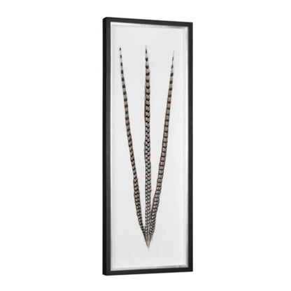 Cuadro Feather