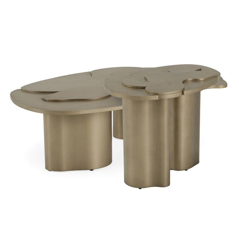 Mesa lateral limpse